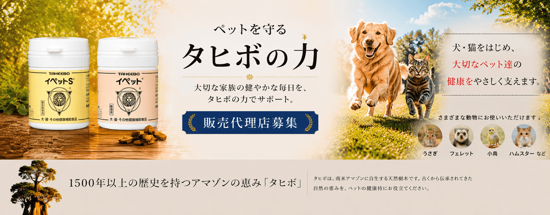イペット/イペットS