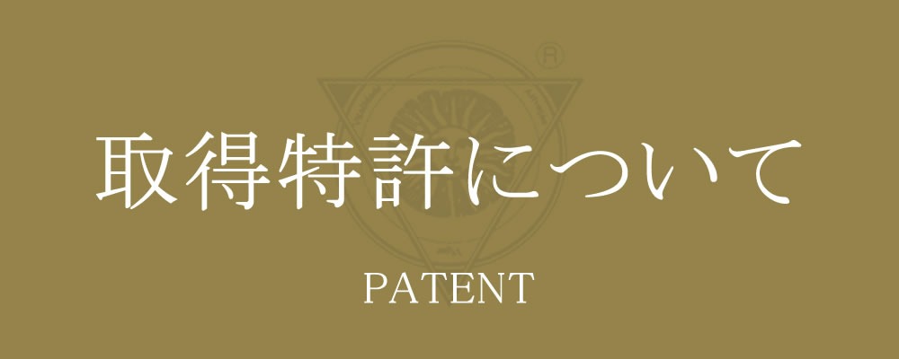 取得特許について