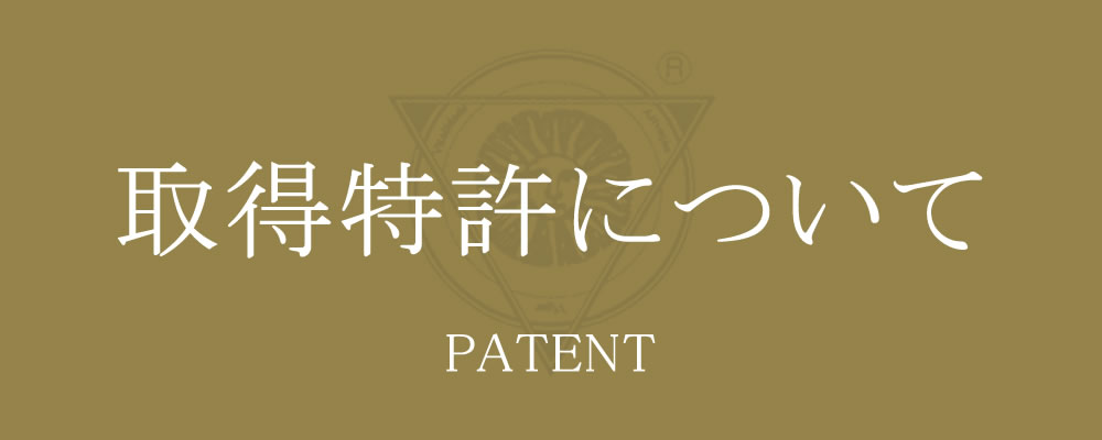 取得特許について